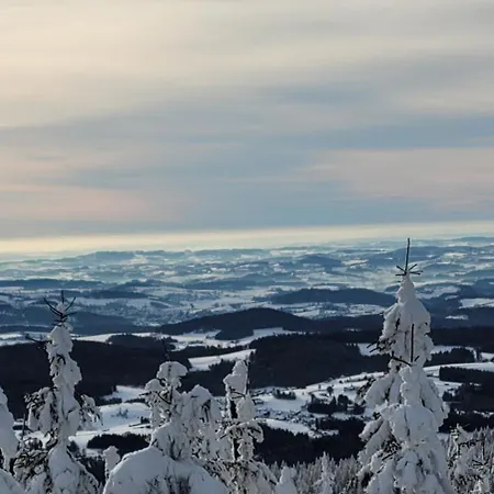 Bayerwaldblick شقة Jandelsbrunn