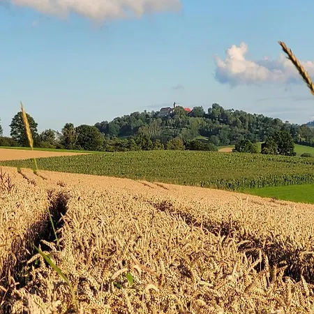Daire Bayerwaldblick Jandelsbrunn
