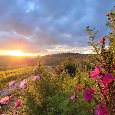 Bayerwaldblick * Jandelsbrunn