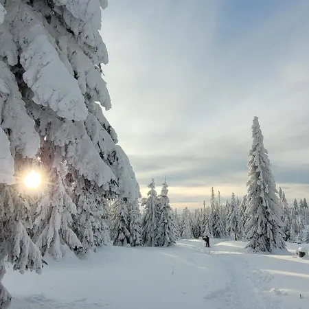 Daire Bayerwaldblick Jandelsbrunn