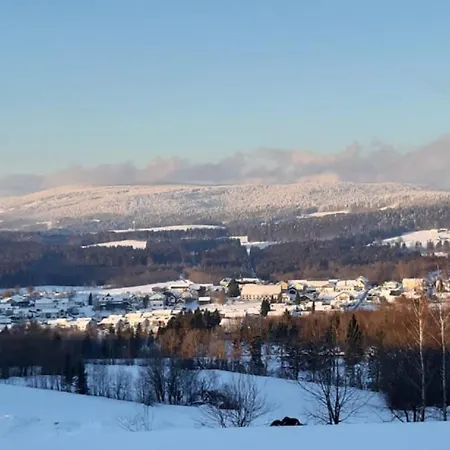 Bayerwaldblick *