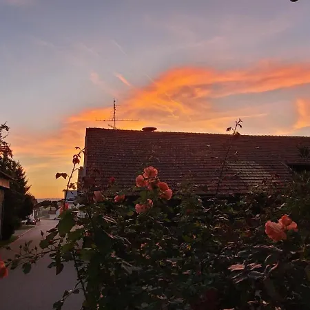 Bayerwaldblick