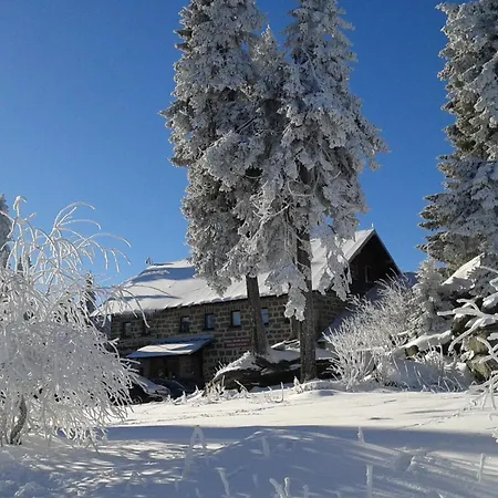 Bayerwaldblick Apartment