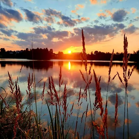 Bayerwaldblick