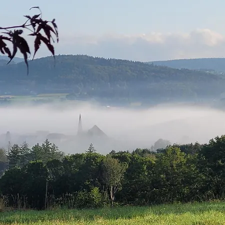 Bayerwaldblick *