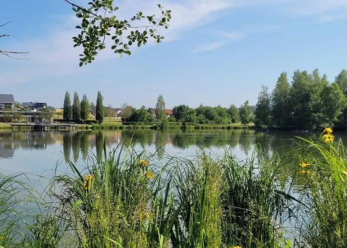 Bayerwaldblick * Jandelsbrunn