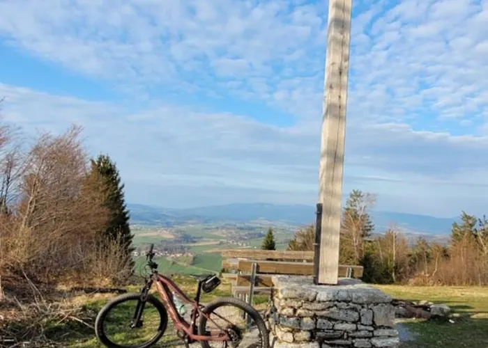 Bayerwaldblick