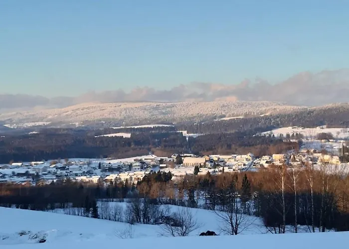 Bayerwaldblick *