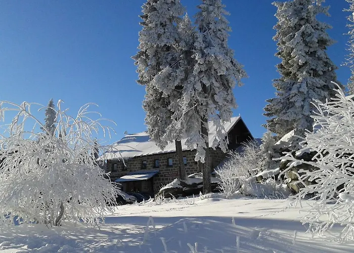Bayerwaldblick Appartement