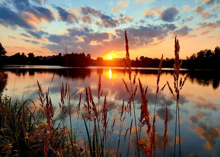 Bayerwaldblick