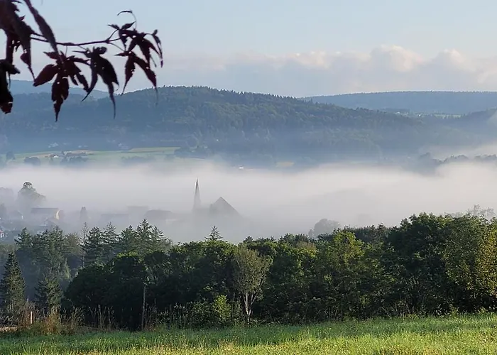 Bayerwaldblick *